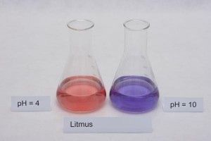 Image of Litmus solutions
