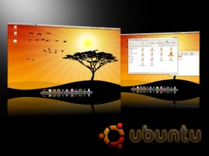 Image of Ubuntu 10.04
