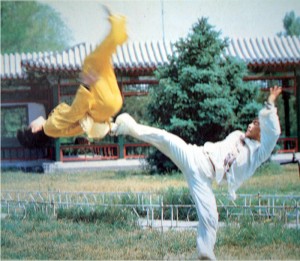 Image of Incredible Kung Fu!