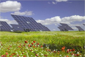 Image of Solar Farm